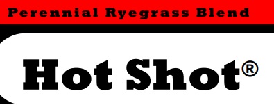 HotShot 3-Way Perrennial Ryegrass Seed (50 lb)